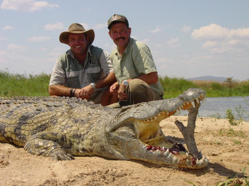 gator